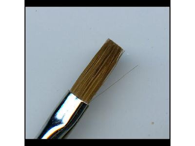 1/8" Flat Sable Brush
